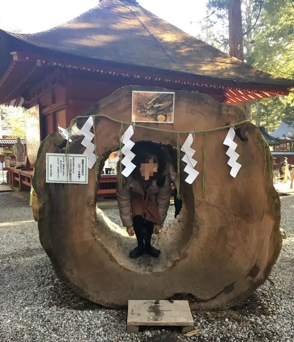 御神木通り抜け