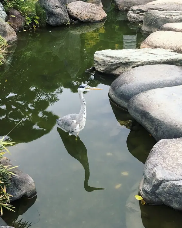 園内には野鳥もいます♡