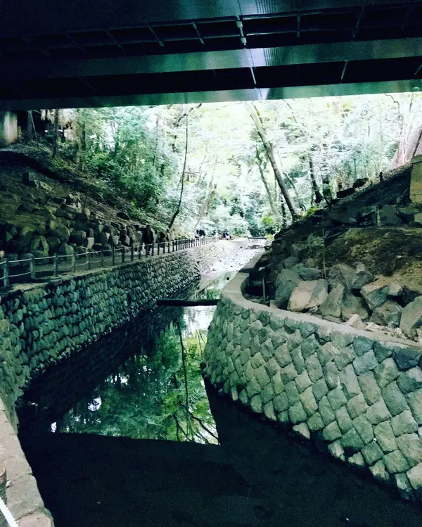 水面に映る緑がまた気持ちいい