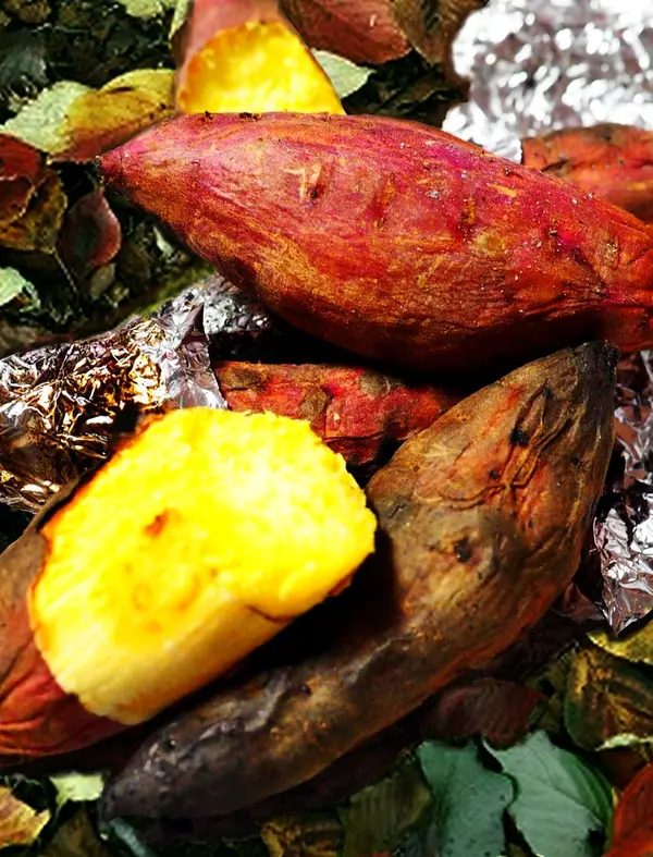 ノースガーデンにて、11月26日限定 焼き芋体験＆プレゼントもあります！