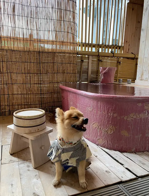 部屋風呂