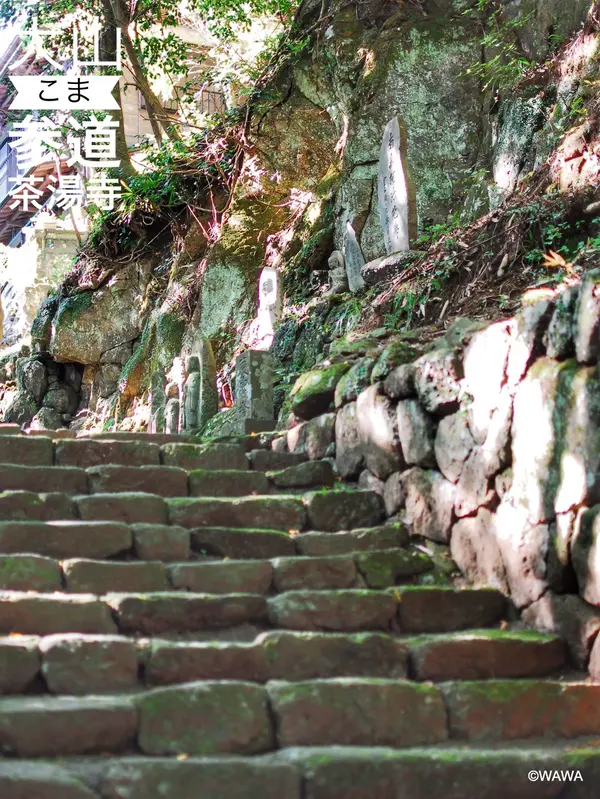 茶湯寺こと来迎院