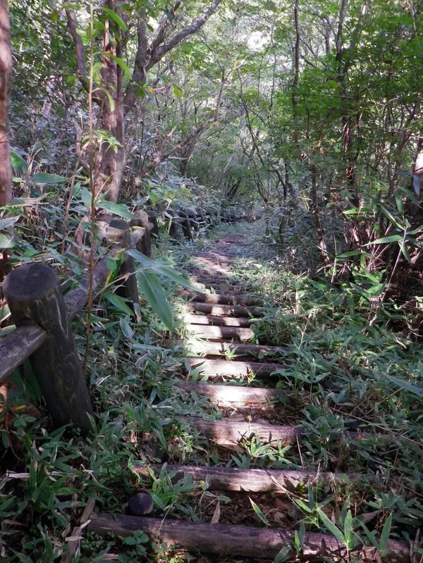 高千穂野に出現する階段
