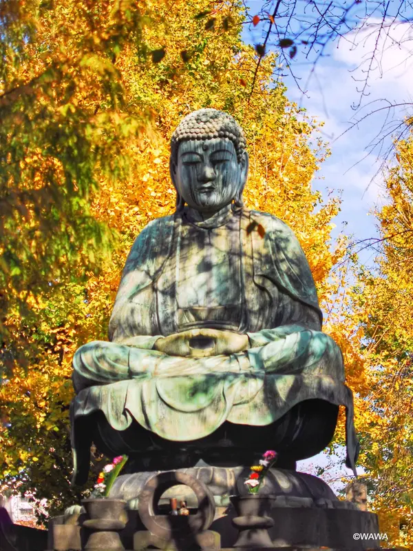 吉祥寺の大仏像