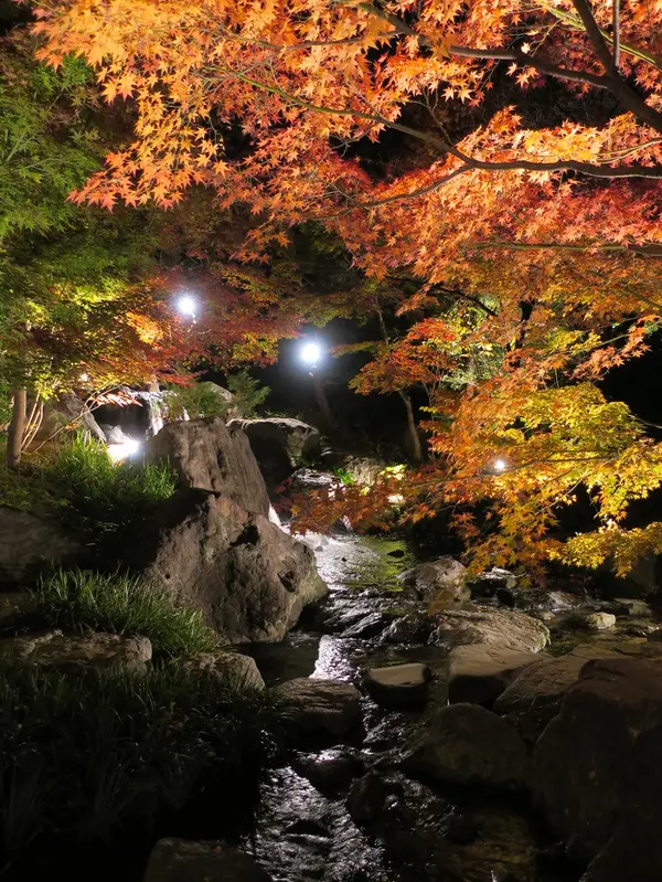 公園内に渓流があるなんて