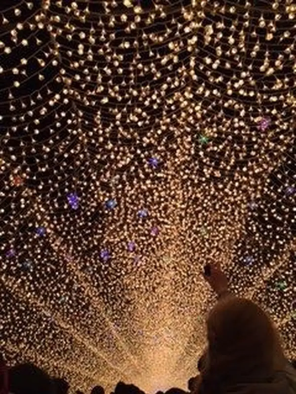 光のトンネル