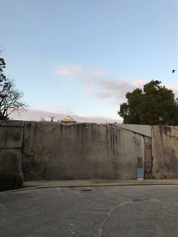 蛸石