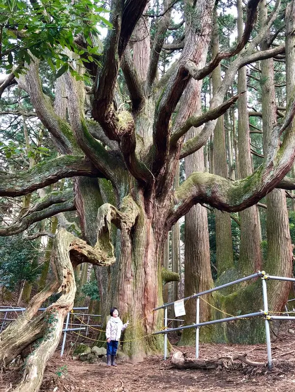 カメラは広角がオススメです笑！