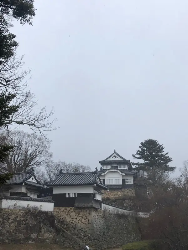 到着
