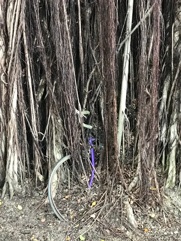 台中文学館