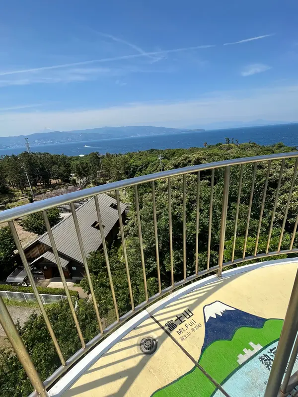 富士山が見える