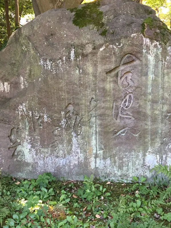 芭蕉の句