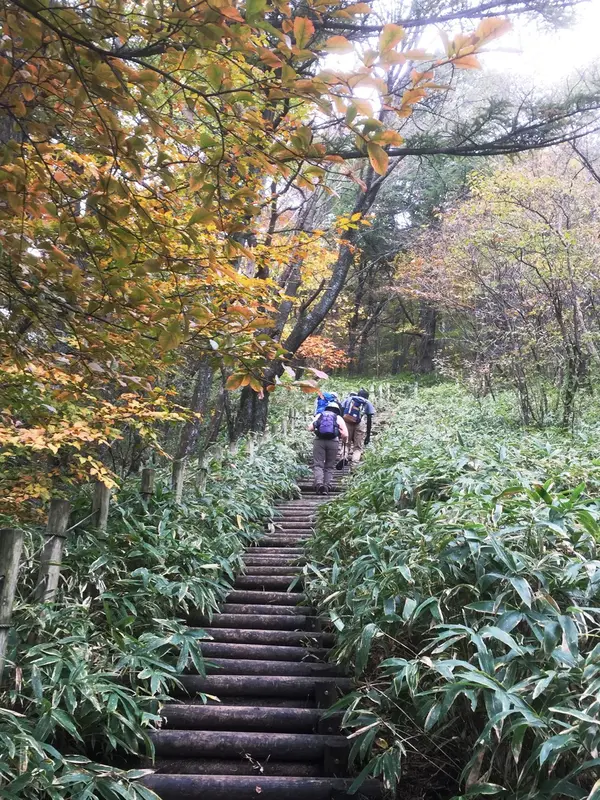 長い階段を登ります