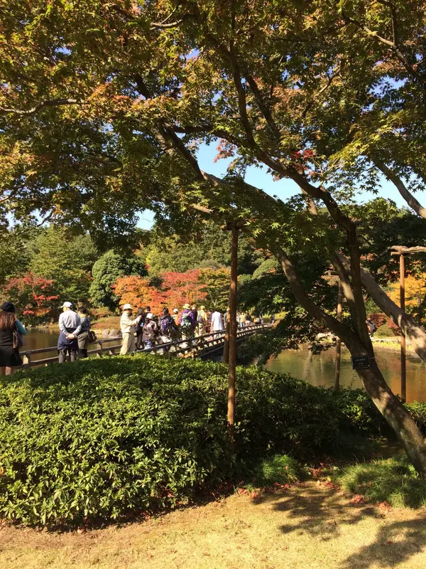 池の中央に架け橋