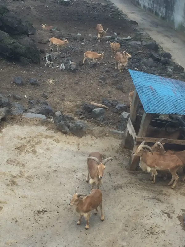 見応えがあります