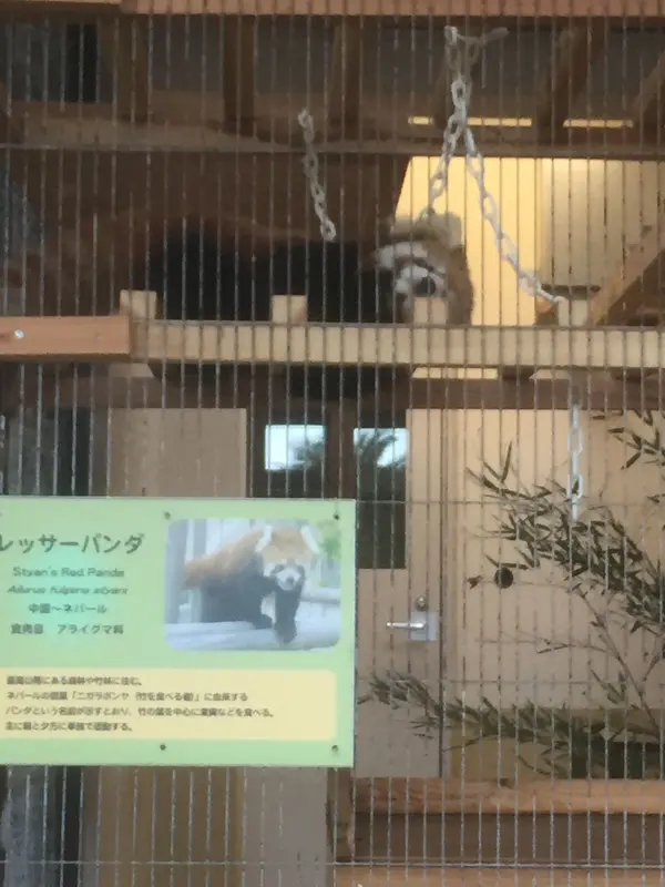 みんなの人気者