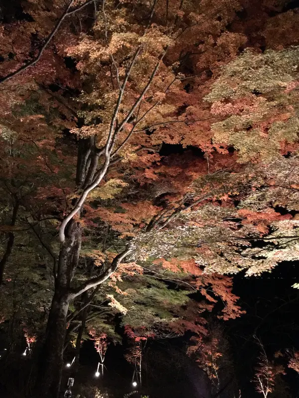 撮影が楽しいスポットがたくさん