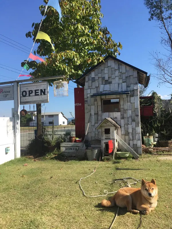 看板犬☆