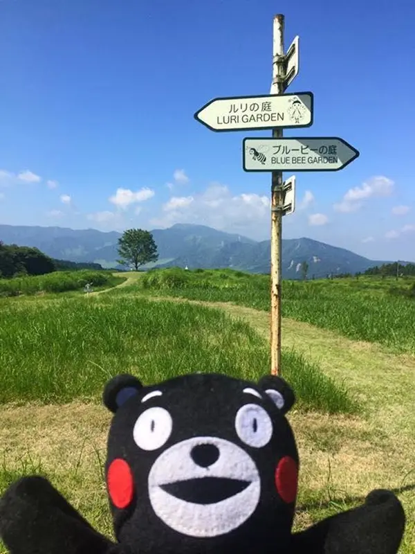 絵本の世界そのままです！