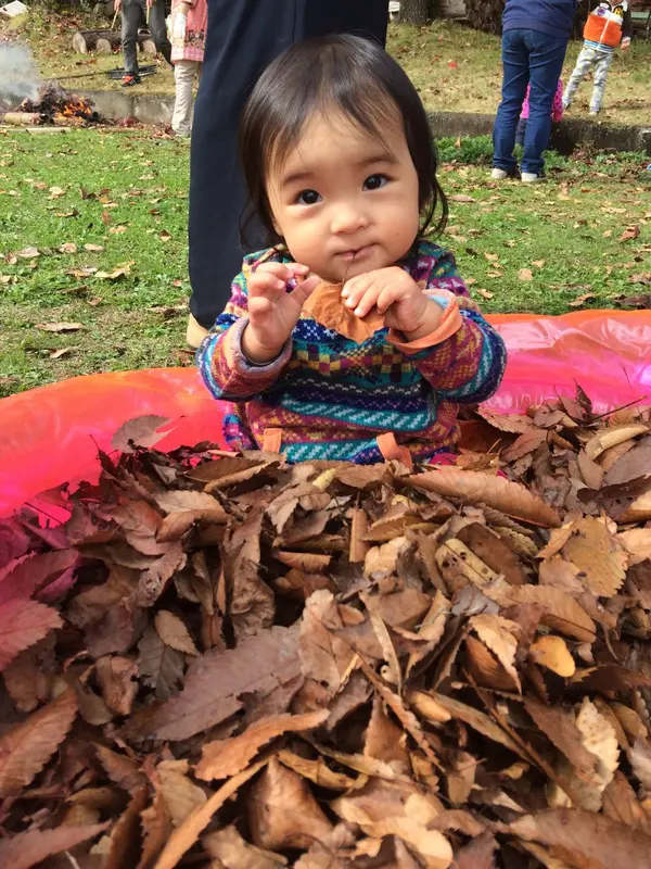 落ち葉のプール