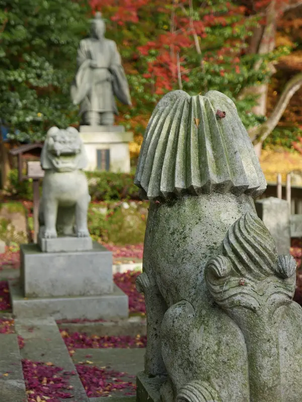 面白いたてがみ