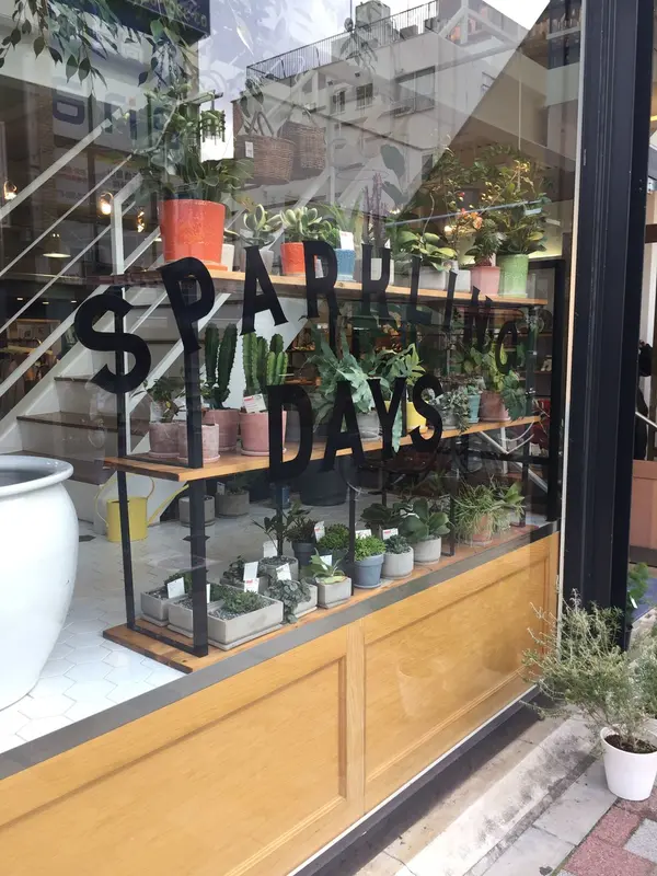観葉植物