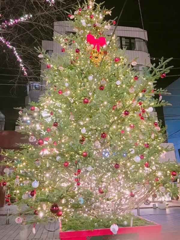 クリスマスには大きなツリーが！