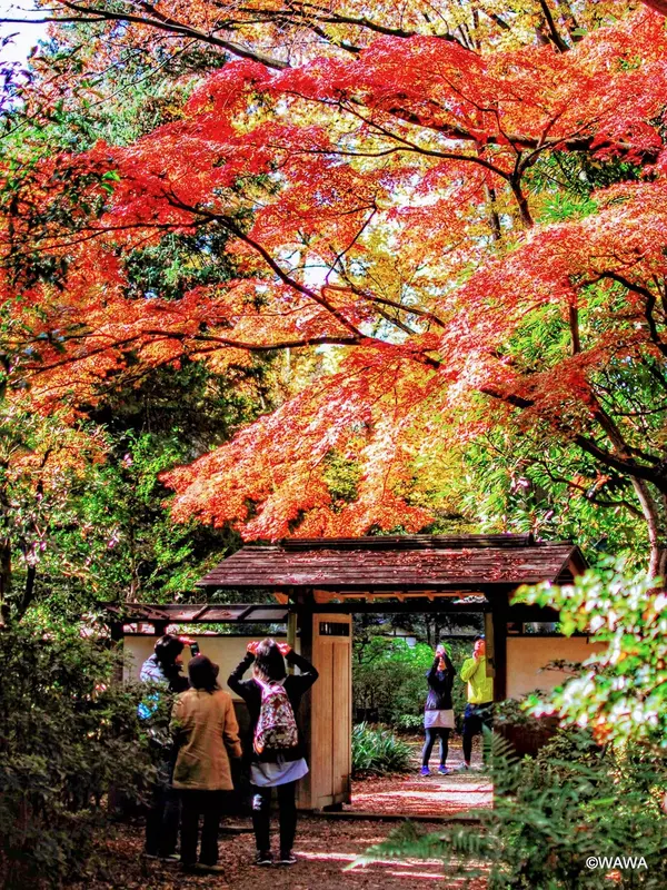 六義園