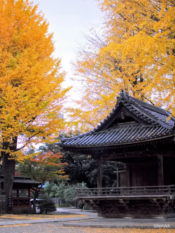 根津神社