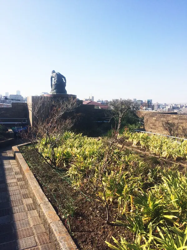 屋上庭園