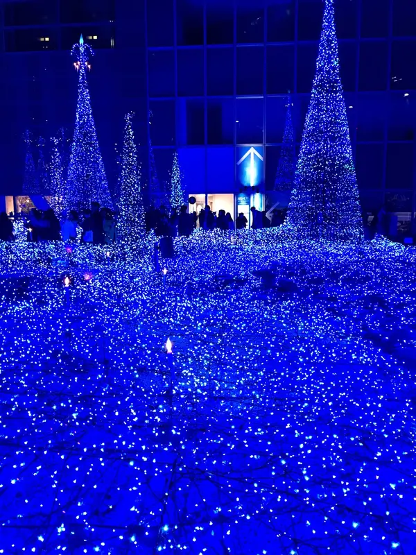 一面の青