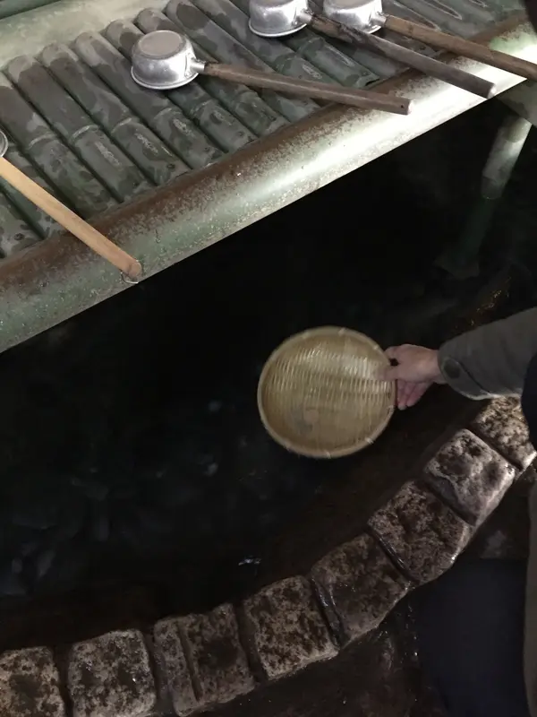 お金💰増えるのかなー
