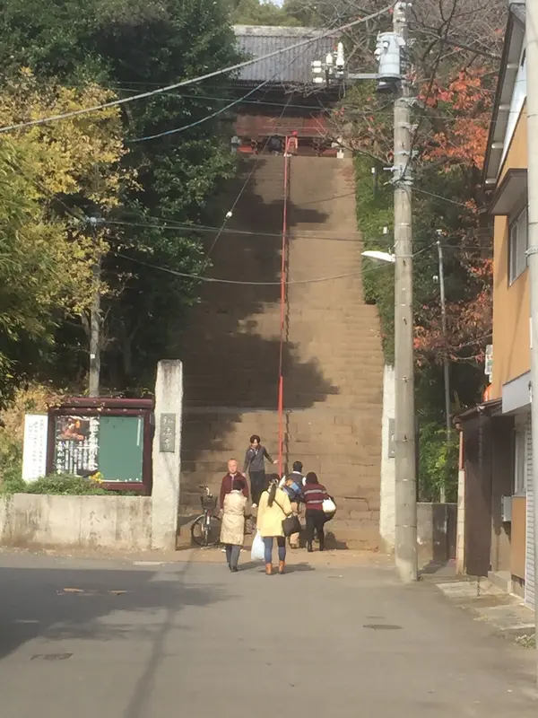 この階段を登ります