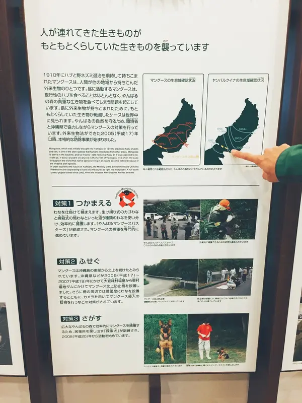 地域のことを理解しよう！