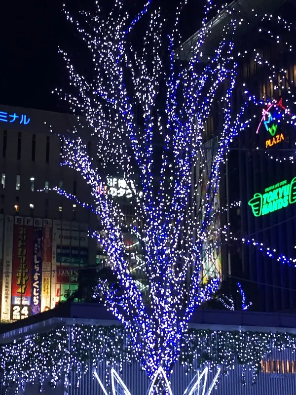光に包まれたツリー