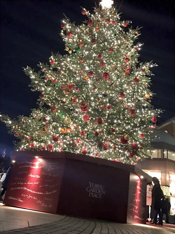 【イルミネーション】