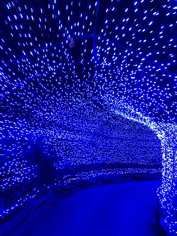 ほぼ貸切の園内