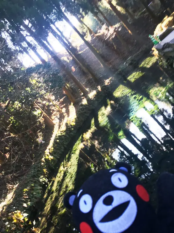 幻想的な景色だモン☆