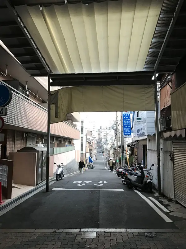 右を向けば
