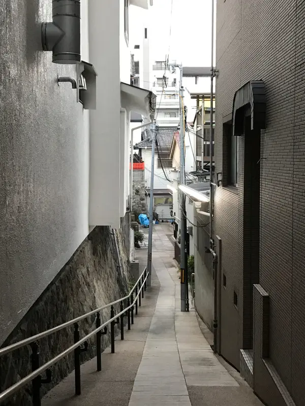 左を向けば
