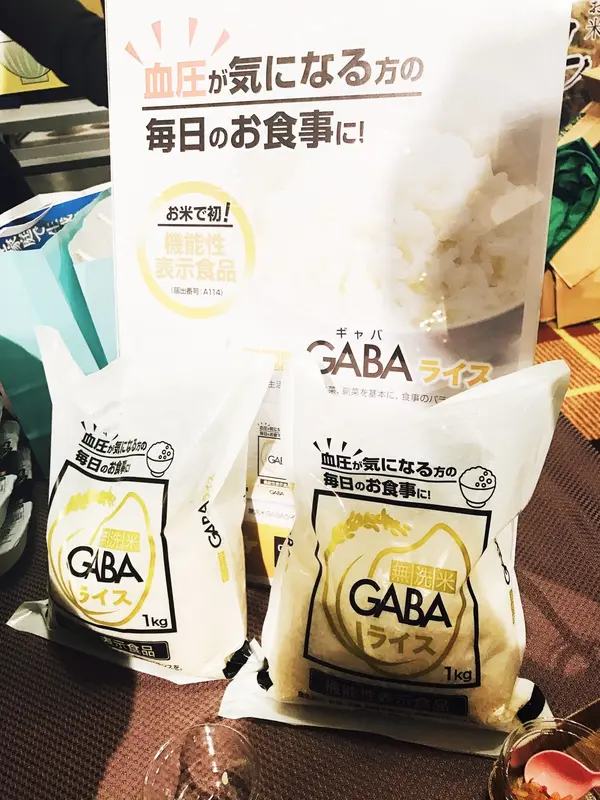 ギャバライス！