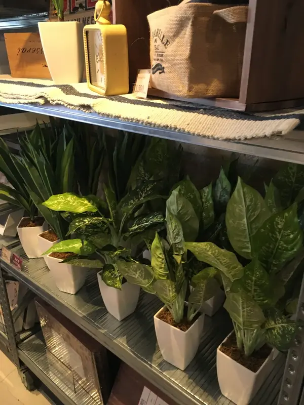 商品その4