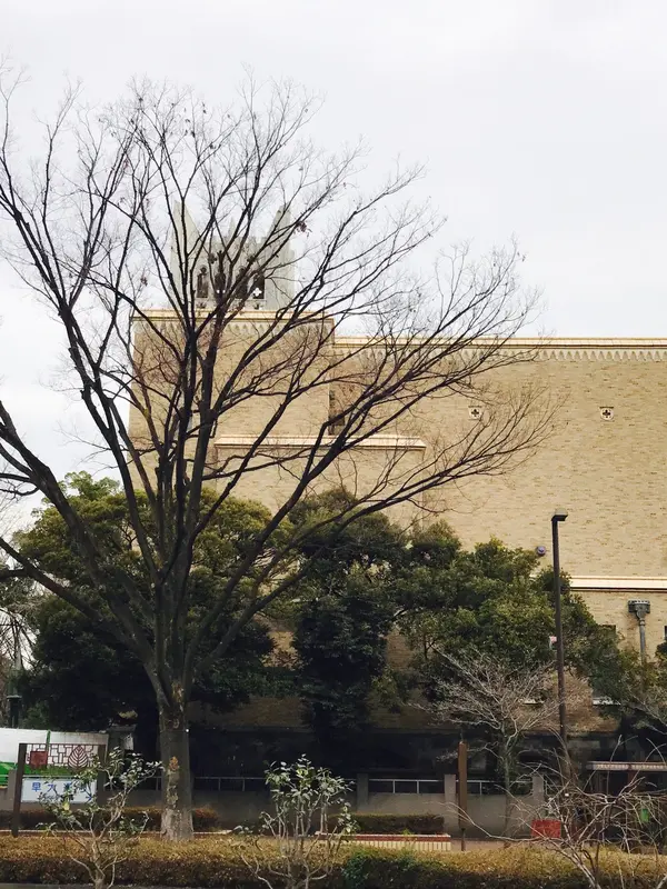 通り道にあるバカ田大学。
