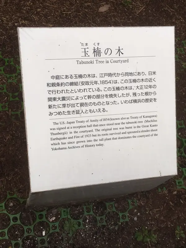 中庭