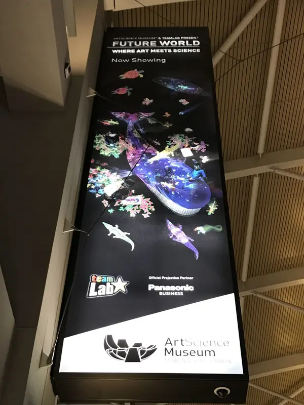 猪子展