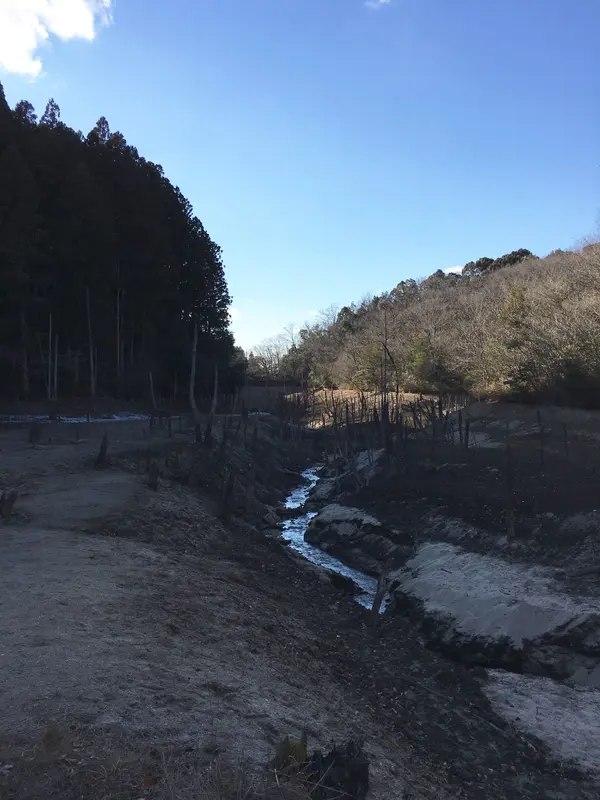 冬の大正池