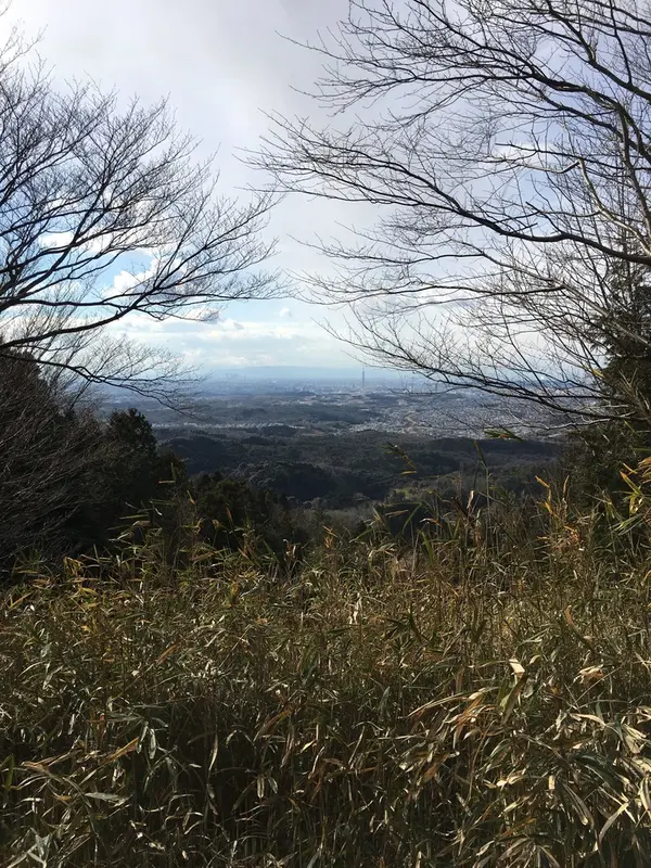 景色は最高