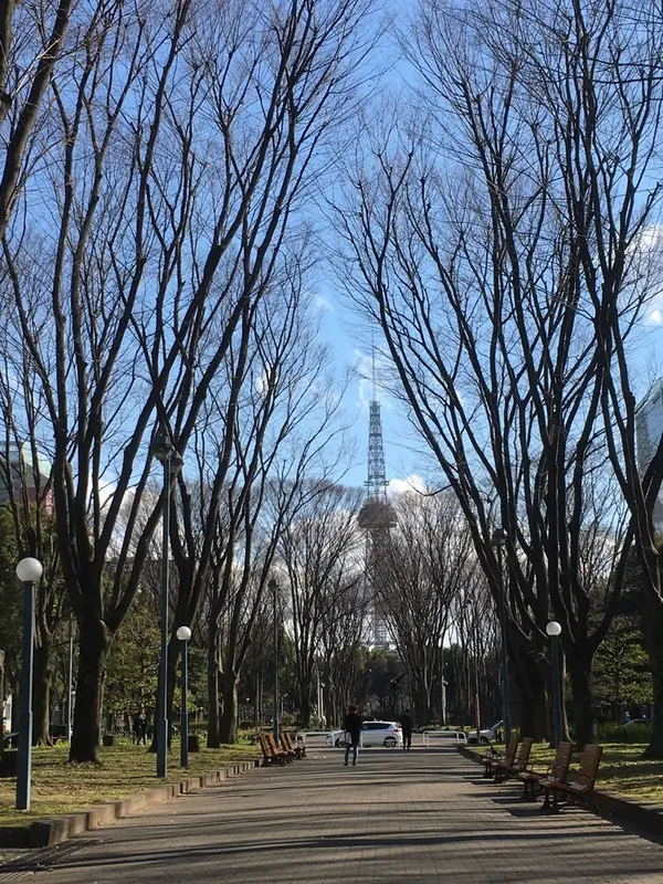 テレビ塔が小さく見えます