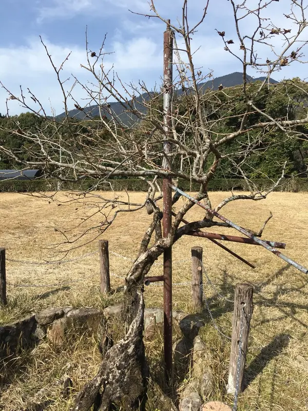 ふだらく霊園
