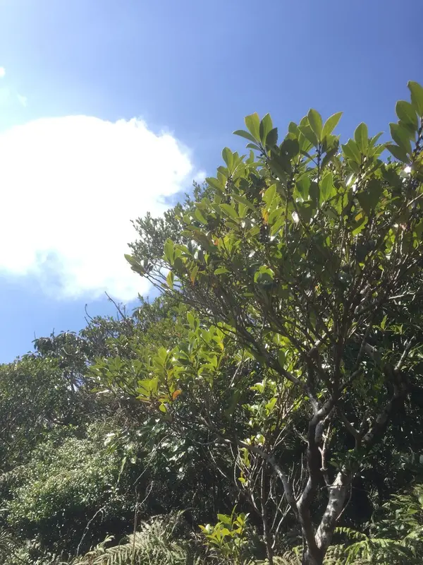 空と自然